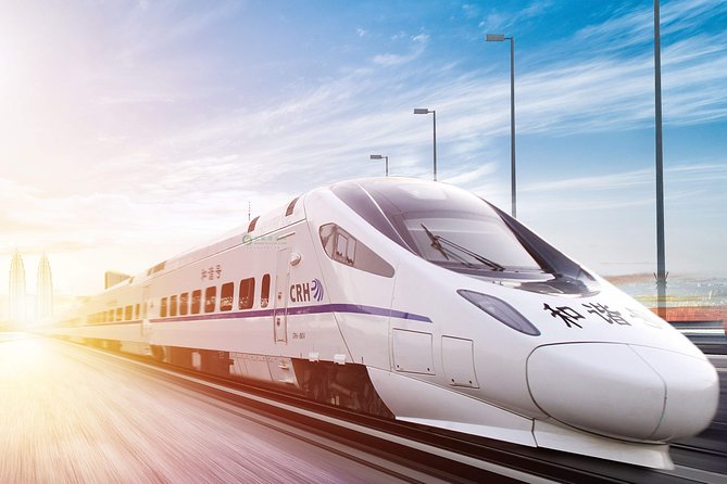Shanghai Train Station Private Arrival Transfer to Hotel in English Services