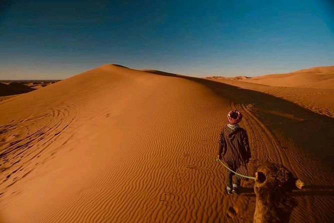 Shared 3 Day Desert Safari Experience Tour From Marrakech to Merzouga to Fes - Good To Know