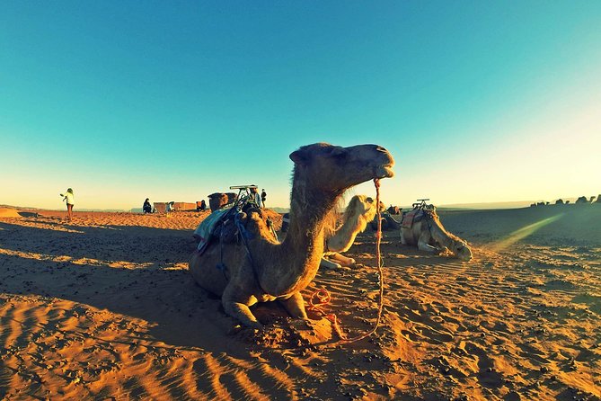 Shared Multi-Day Tour in Zagora With Free Meal - Good To Know