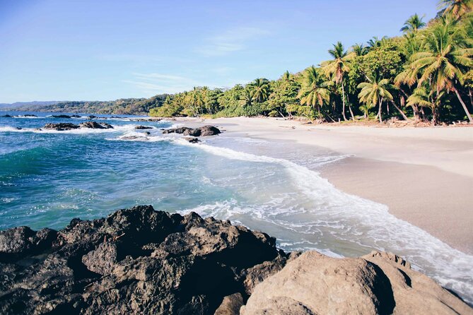 Shared Shuttle Arenal to Santa Teresa or Montezuma - Good To Know