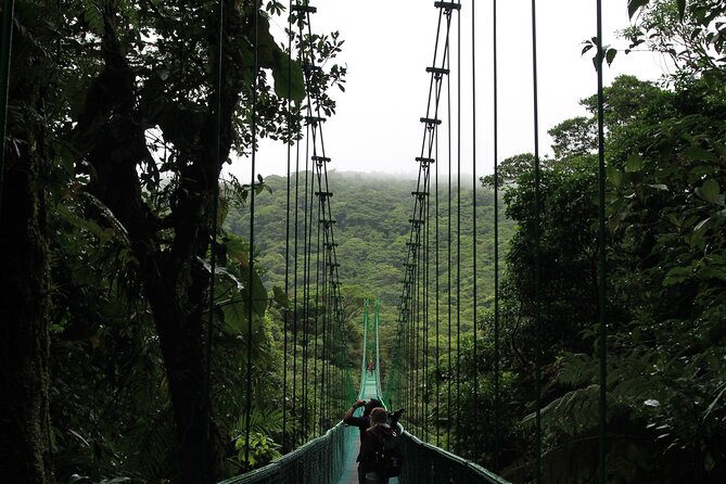 Shared Shuttle Tamarindo to Monteverde - Good To Know
