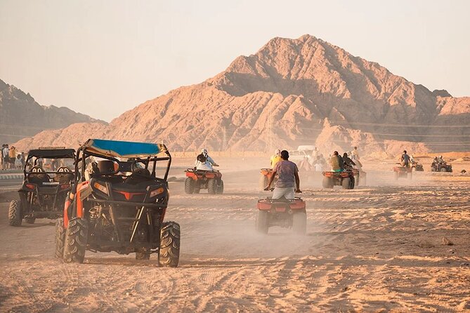 Shared Tour Quad Bike Camel Ride Buggy Car + Dinner in Hurghada - Good To Know