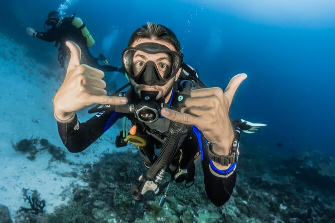 Sharks Bay Diving Trip - Good To Know