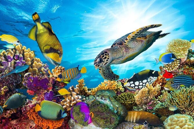 Sharm El Naga Full-Day Snorkeling Tour From Hurghada - Good To Know