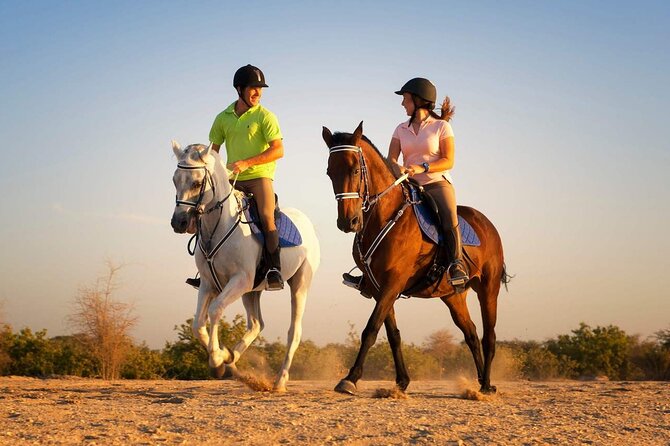 Sharm El Sheikh Desert Horseback Riding Adventure One/Two Hours - Good To Know