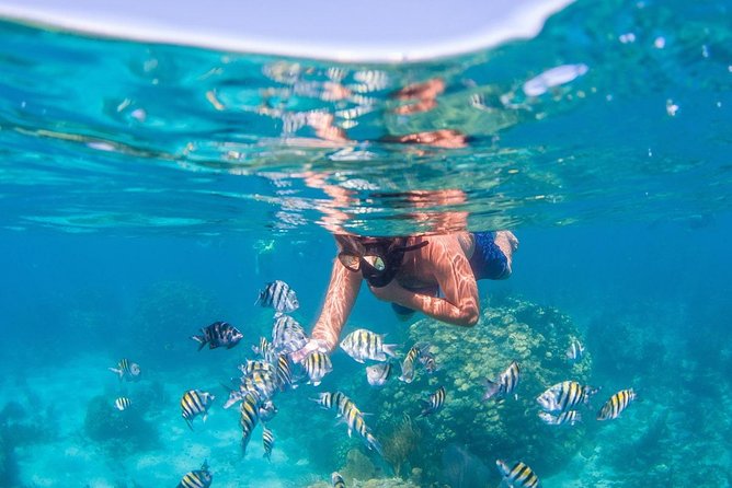 Sharm El-Sheikh: Snorkel & Camel Safari at Blue Hole - Good To Know