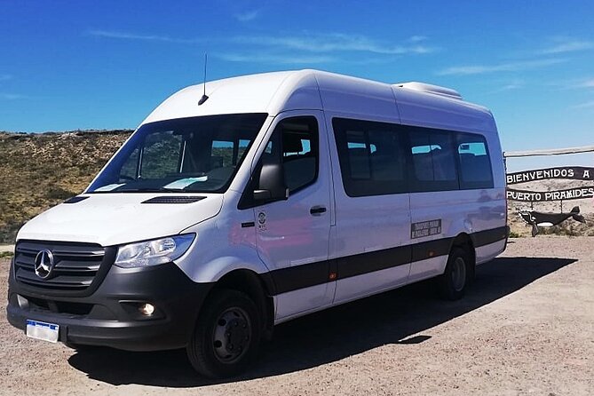 Shore Excursion Peninsula Valdes/Punta Tombo - Minivan Madryn - Good To Know