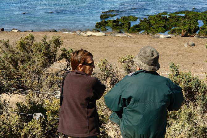 Shore Excursion Peninsula Valdes/Punta Tombo - Special Bus Madryn - Good To Know