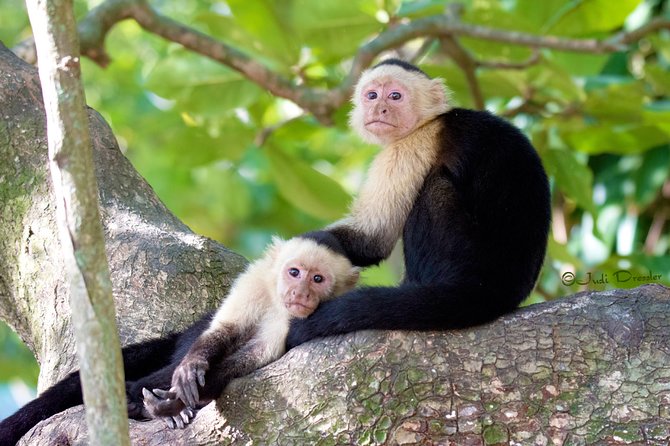 Shore Excursion: Roatan on the Wild-side and Beach Break - Good To Know