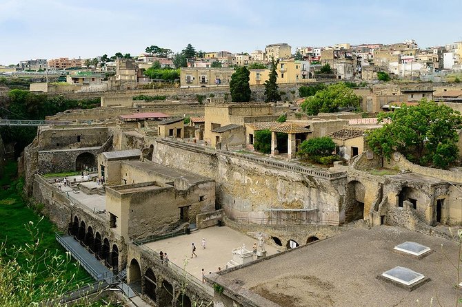 Shore Excursion to the Excavations of Herculaneum (2 Hours) - Good To Know