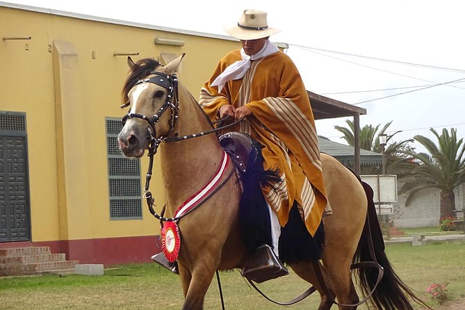 Show: Marinera & Peruvian Paso Horse - Good To Know