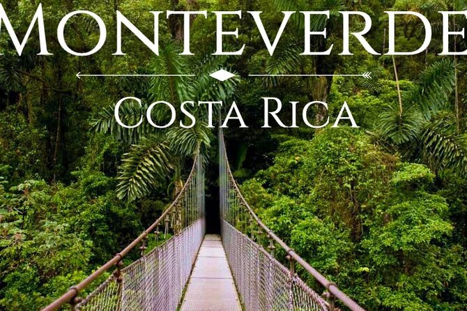 Shuttle Service From San Jose To Monteverde - Good To Know