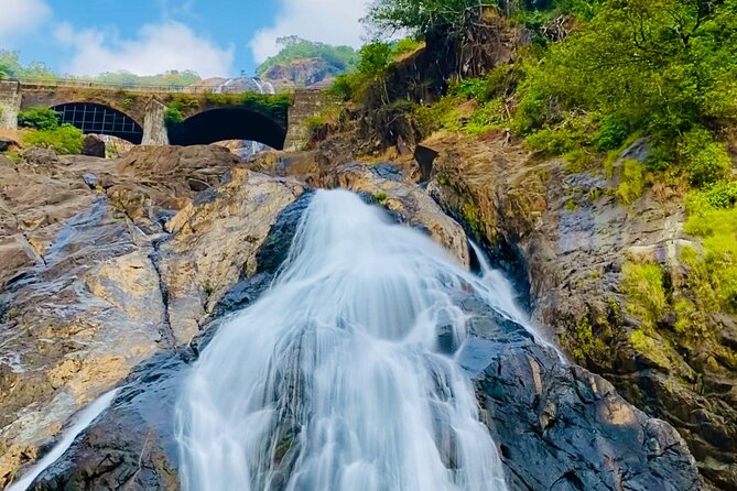 SIC Dudhsagar Waterfall & Spic Plantation Day Tour