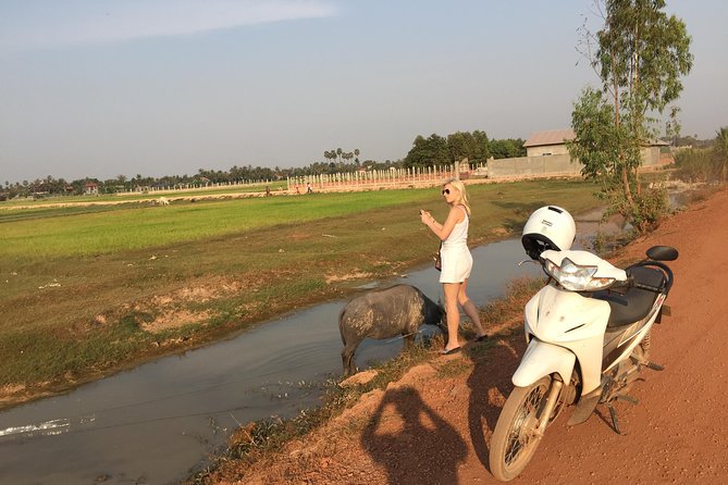 Siem Reap City Chreav Eco Tourism Rice Field Sunset Solo by Motor Bike - Good To Know