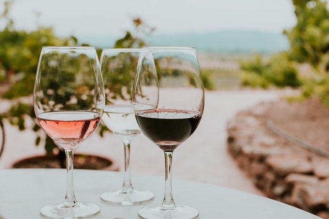 Siena in 3 Wines: Exclusive Wine Tasting With an Expert & Food Pairing - Good To Know