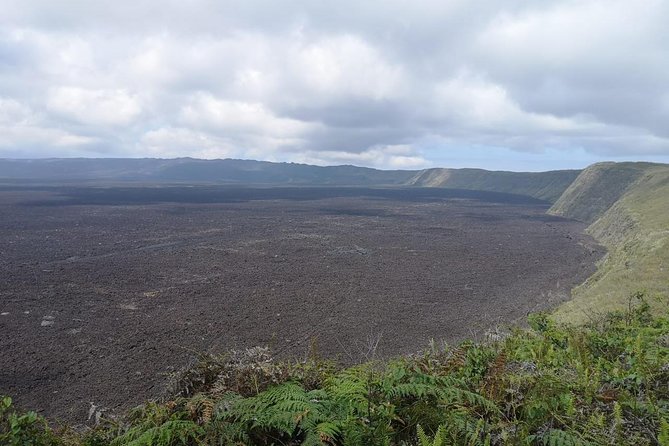 Sierra Negra Volcano Hiking in Isabela: 5-6 Hours Day Tour - Tour Overview