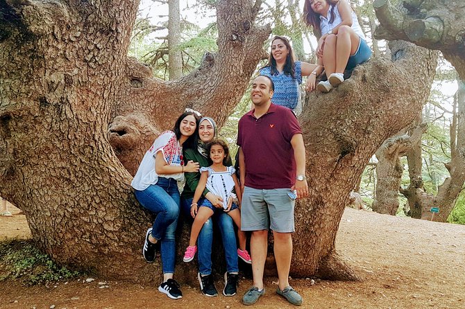 Sightseeing All-Inclusive Private Tour to Cedars, Baalbek and Ksara - Good To Know