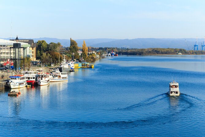 Sightseeing Tour in Valdivia - Good To Know