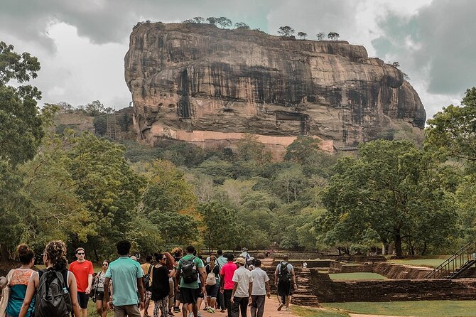 Sigiriya Rock and Wild Elephant Safari From Polonnaruwa - Good To Know