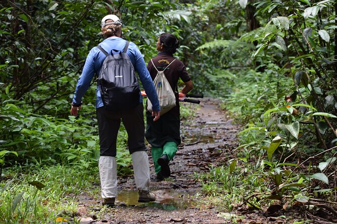 Sinharaja Rain Forest Tour From Bentota - Good To Know