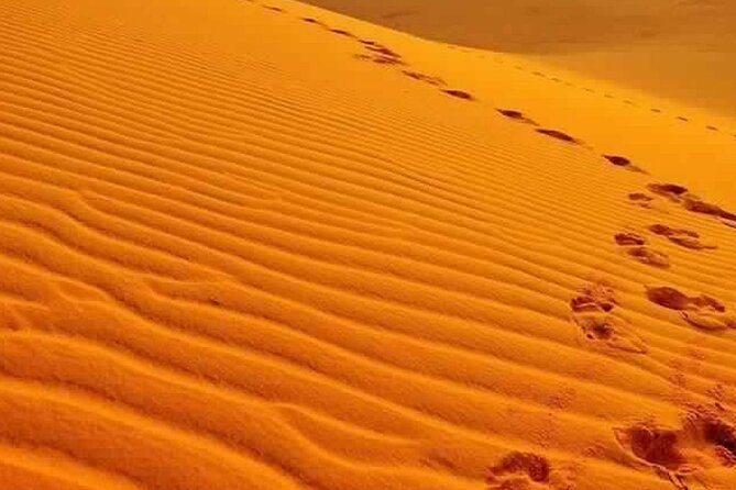 Siwa Oasis Adventure in 3 Days & 2 Nights - Good To Know