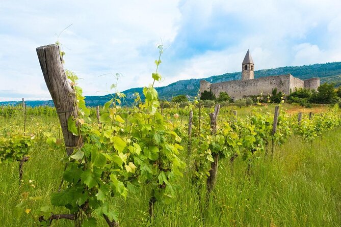 Slovenian Istria | Private off Cruise Excursion From Koper - Good To Know
