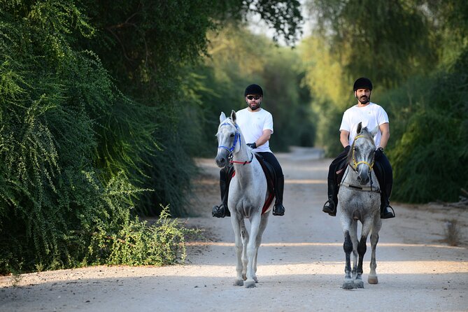 Small-Group Horse Forest Ride in Dubai With Private Transfers - Good To Know