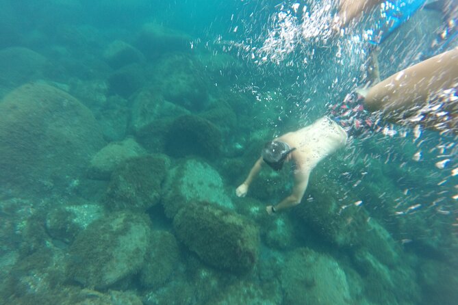 Snorkel Tour - S. Jorge - Good To Know