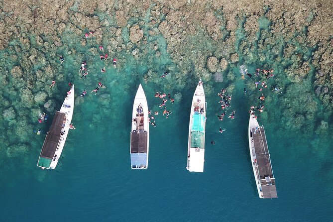 Snorkeling and Island Hopping Tour in Karimunjawa - Good To Know