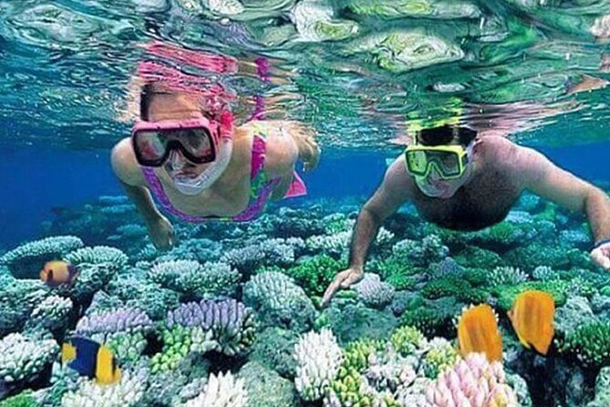 Snorkeling at Blue Lagoon and The Rock Restaurant - Good To Know
