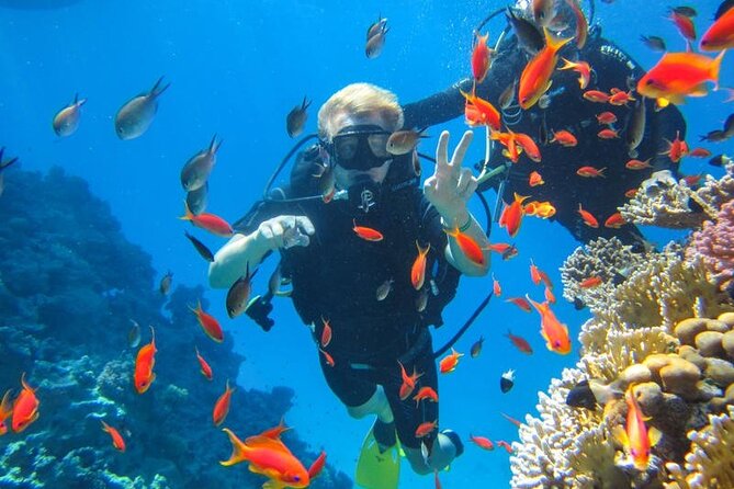 Snorkeling at Ras Mohamed in Sharm El Sheikh - Good To Know