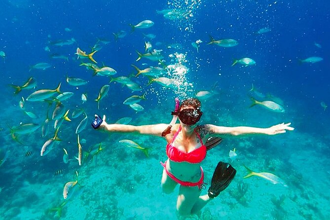 Snorkeling Blue Channel in West End by Catamaran Tiki Boat - Good To Know