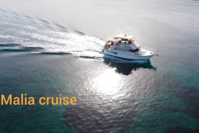 Snorkeling Boat Trip With Motor Yacht - Good To Know