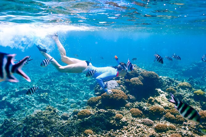 Snorkeling in Coral Island, Trincomalee - Good To Know