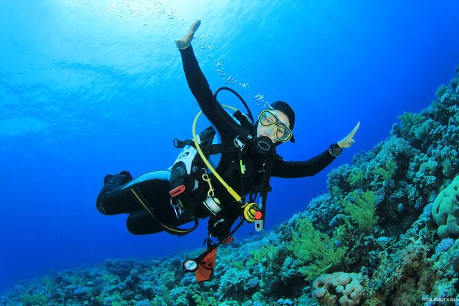 Snorkeling Sea Excursion to Paradise Island in Hurghada - Good To Know