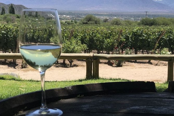 South Wine Routes, San Juan - Half Day Tour - Good To Know