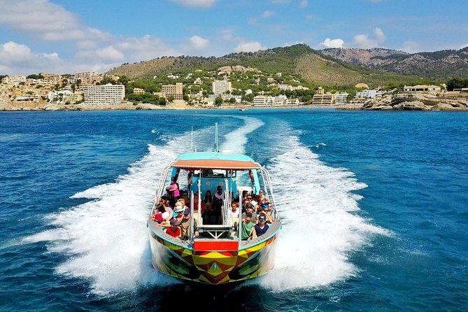 Speed Boat Tour: Discover Mallorca Natural Secrets - Good To Know