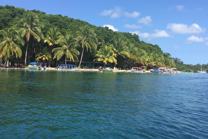 Speed Boat Tour to Mangrove Point -Starfish Beach -Bocas Del Drago and Birds Island - Good To Know