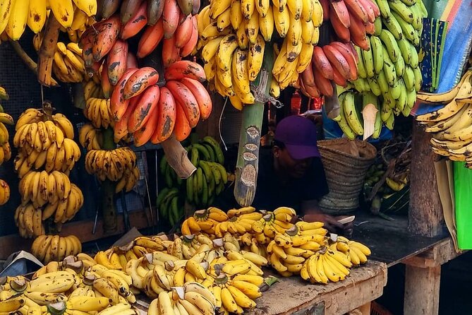 Spice Tour; Stone Town Tour; Island Pongwe Restaurant; Baraka Aquarium; Kendwa - Good To Know