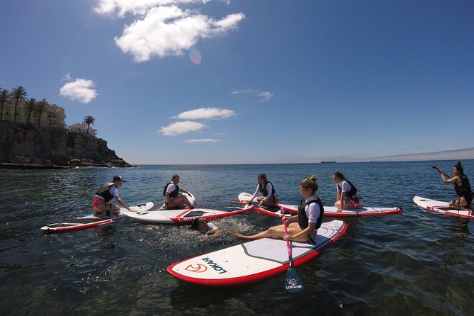Stand Up Paddle Class - Flat Water 4h - Activity Details