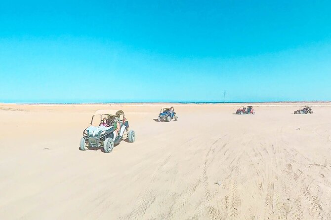 Stargazing Safari Adventure With Camel Ride, Dinner in Hurghada - Good To Know