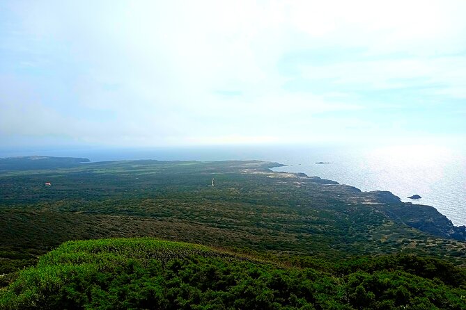 Stintino Trekking Private Tour to Capo Falcone - Good To Know