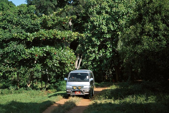 Sultan Panorama Tour - Good To Know
