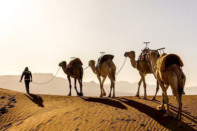 Sunset Camel Ride in Agafay Desert - Good To Know