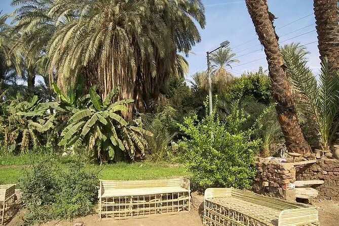 Sunset Felucca to Banana Island - From Luxor - Good To Know