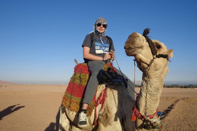 Super Safari Excursion By Jeep, ATV, Sunset Dinner and Camel Ride - Marsa Alam - Good To Know