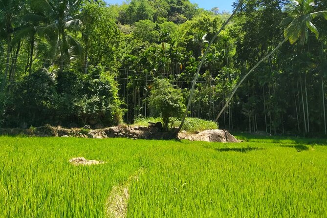 Surf & Hike - (6 Days) Mountains, Waterfalls & Beaches - Good To Know
