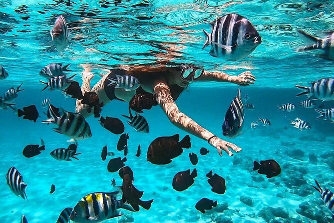Swim Safari Blue & Visit Stone Town to Help Zanzibar People - Good To Know