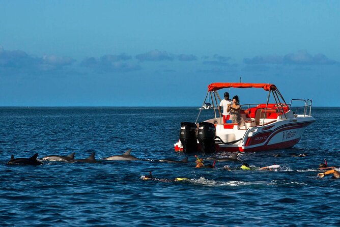 Swimming With Dolphin Private Speed Boat Experience in Hurghada - Good To Know