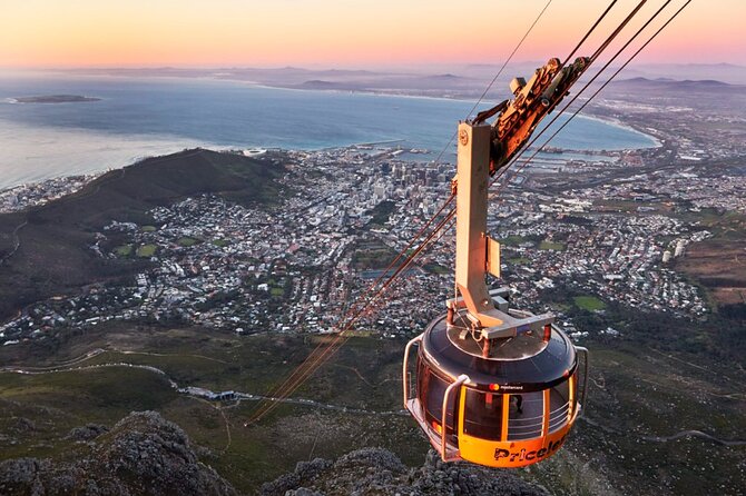 Table Mountain, Kirstenbosch & Constantia Full Day Private Tour - Good To Know